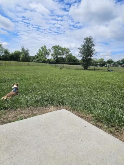 Peggy Baker Park Dog Run - Crestwood, KY