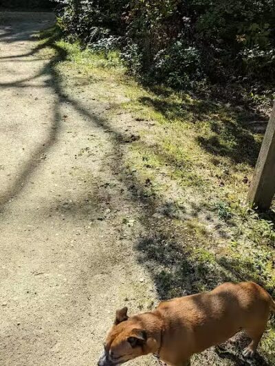 Plum Valley Preserve - Crete, IL