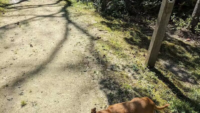 Plum Valley Preserve - Crete, IL