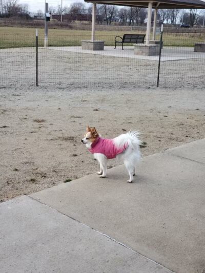 Plum Valley Preserve - Crete, IL