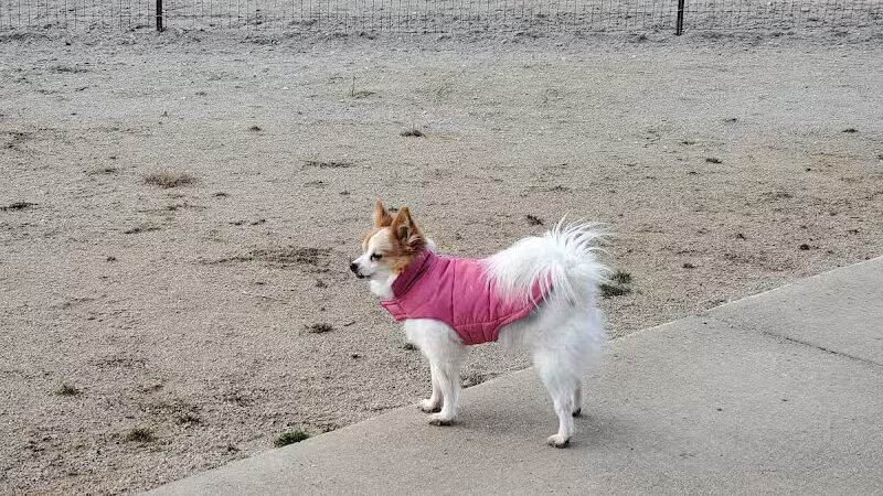 Plum Valley Preserve - Crete, IL