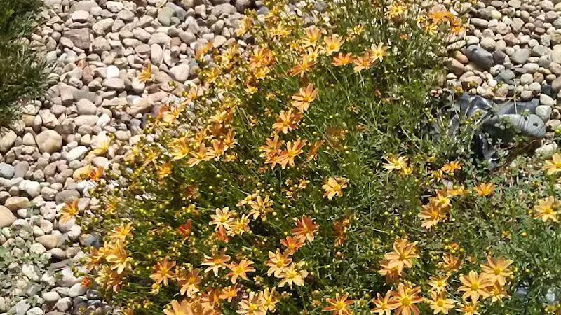 Armory Park - Crete, NE