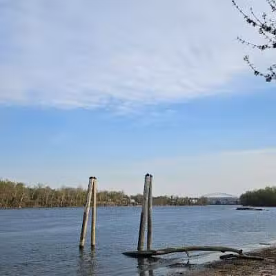 Connecticut River State Wildlife Area - Cromwell, CT