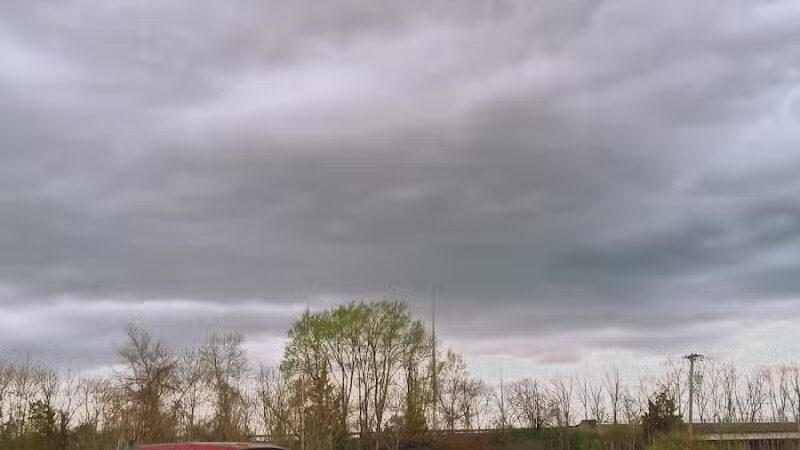 Connecticut River State Wildlife Area - Cromwell, CT