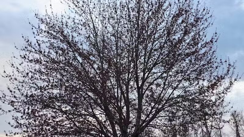 Connecticut River State Wildlife Area - Cromwell, CT