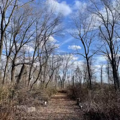 Cromwell Meadows - Cromwell, CT