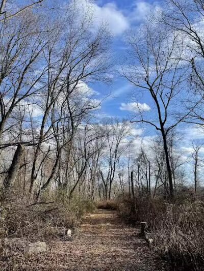 Cromwell Meadows - Cromwell, CT