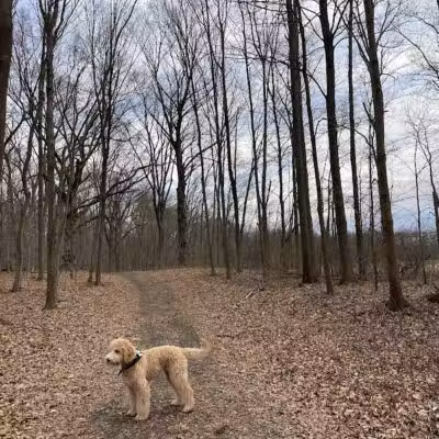 Cromwell Meadows - Cromwell, CT