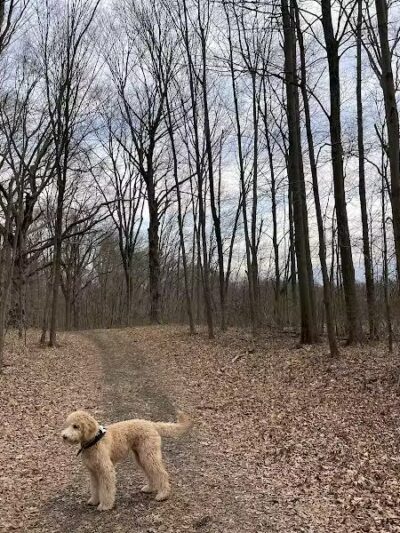 Cromwell Meadows - Cromwell, CT