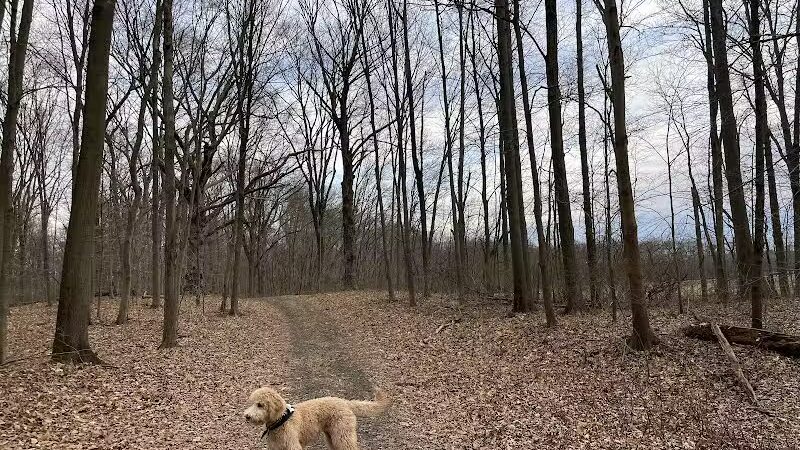 Cromwell Meadows - Cromwell, CT