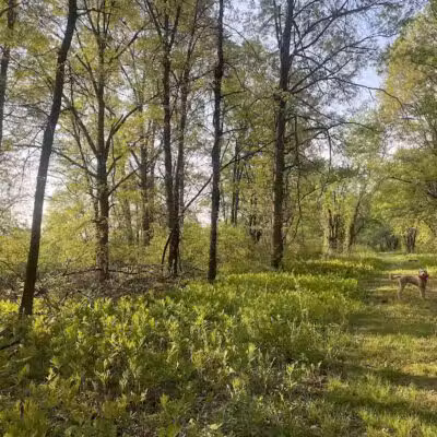 Cromwell Meadows - Cromwell, CT