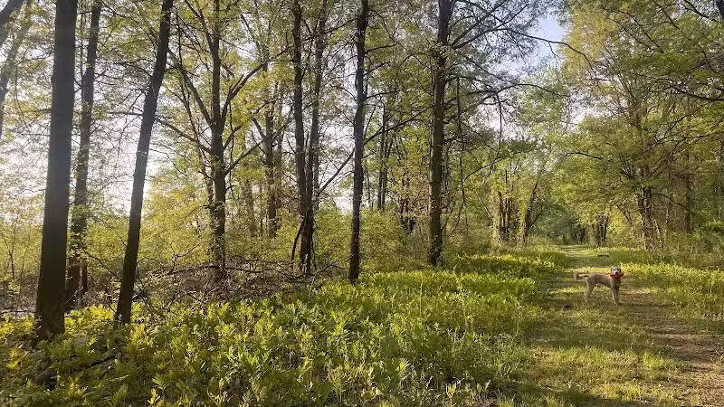 Cromwell Meadows - Cromwell, CT