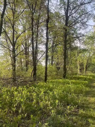 Cromwell Meadows - Cromwell, CT