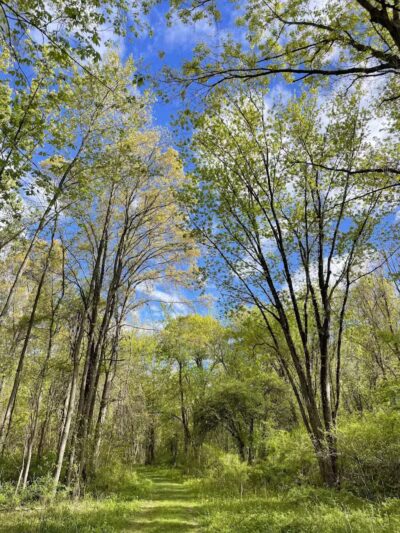 Cromwell Meadows - Cromwell, CT