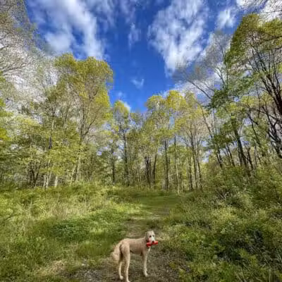 Cromwell Meadows - Cromwell, CT