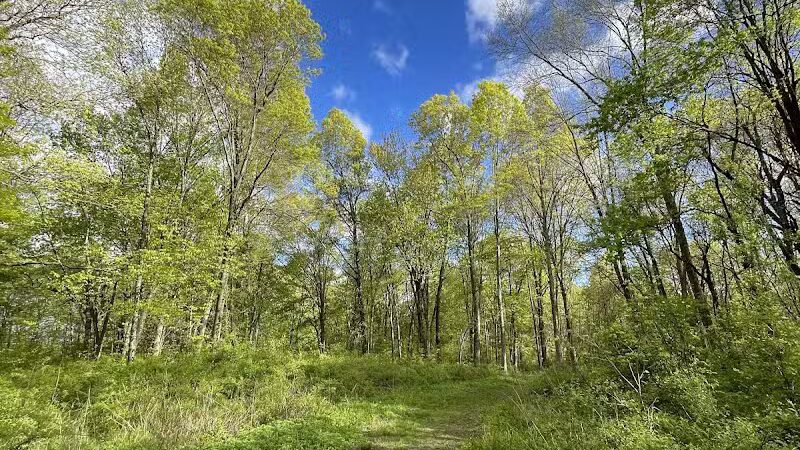 Cromwell Meadows - Cromwell, CT