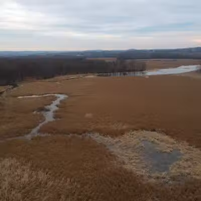 Cromwell Meadows - Cromwell, CT