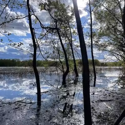 Cromwell Meadows - Cromwell, CT