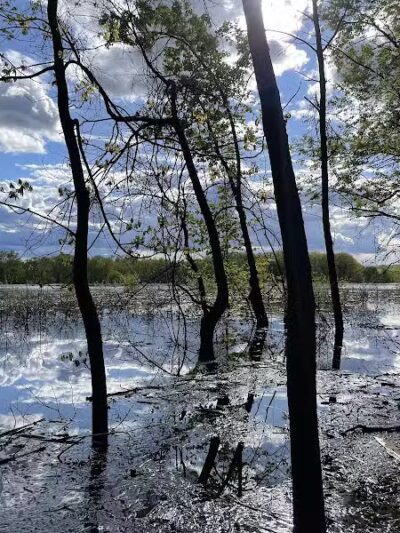 Cromwell Meadows - Cromwell, CT