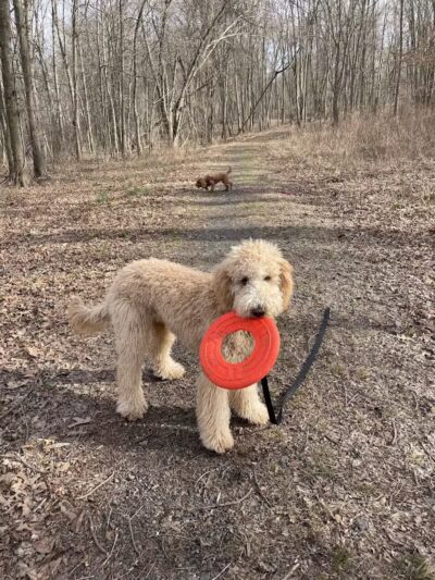 Cromwell Meadows - Cromwell, CT