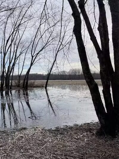 Cromwell Meadows - Cromwell, CT