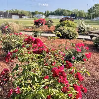 Pierson Park - Cromwell, CT