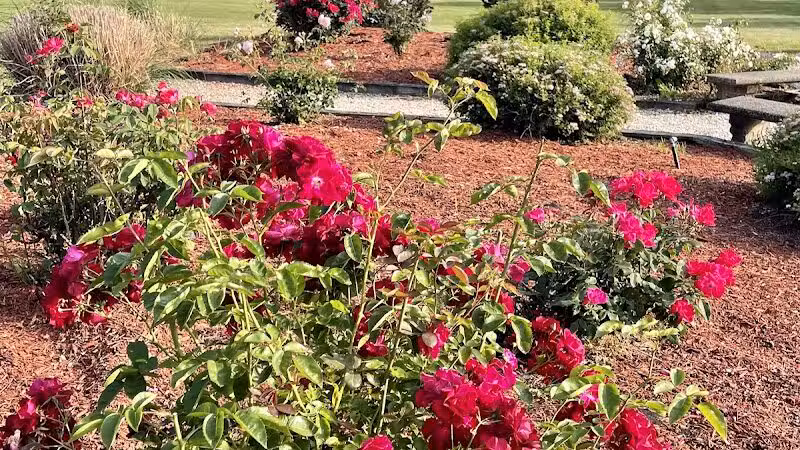 Pierson Park - Cromwell, CT