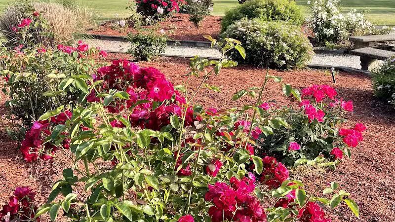 Pierson Park - Cromwell, CT