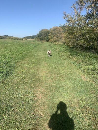 Indian Lake Dog Park - Cross Plains, WI