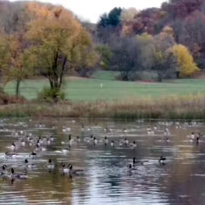 Indian Lake Dog Park - Cross Plains, WI