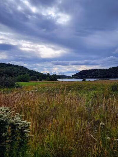 Indian Lake Dog Park - Cross Plains, WI