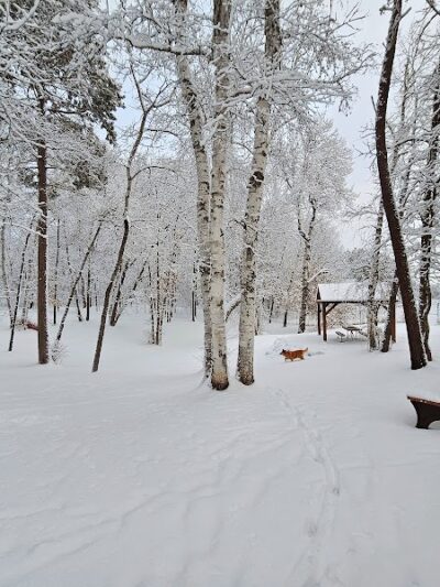 Crosslake Dog Park - Crosslake, MN