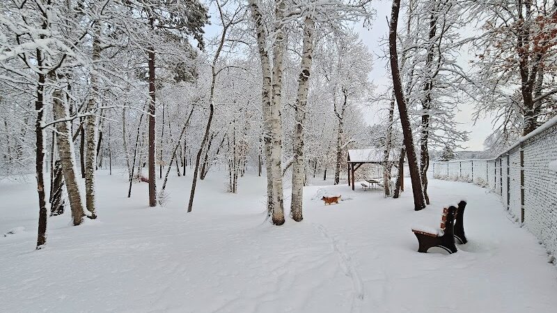 Crosslake Dog Park - Crosslake, MN