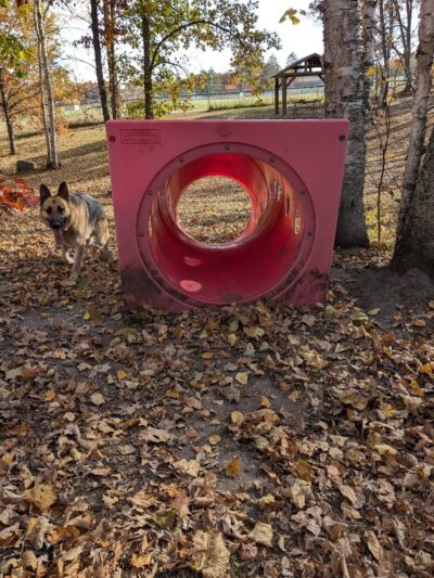 Crosslake Dog Park - Crosslake, MN