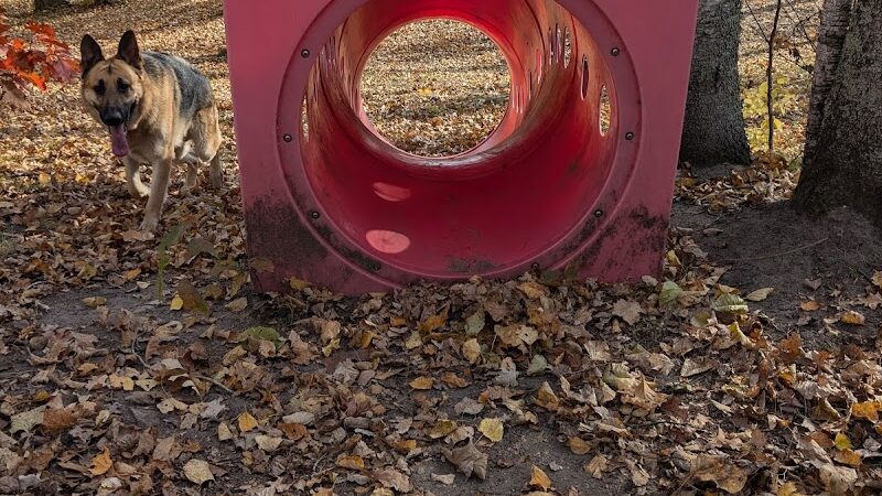 Crosslake Dog Park - Crosslake, MN