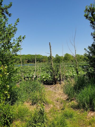 Lemon Lake County Park - Crown Point, IN