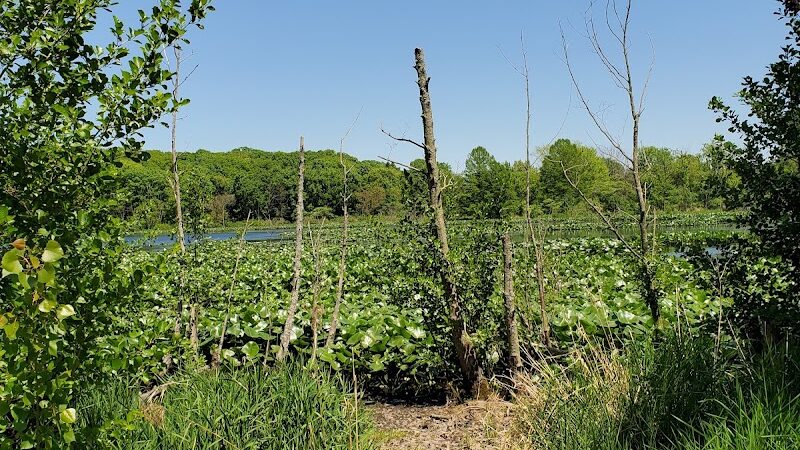 Lemon Lake County Park - Crown Point, IN