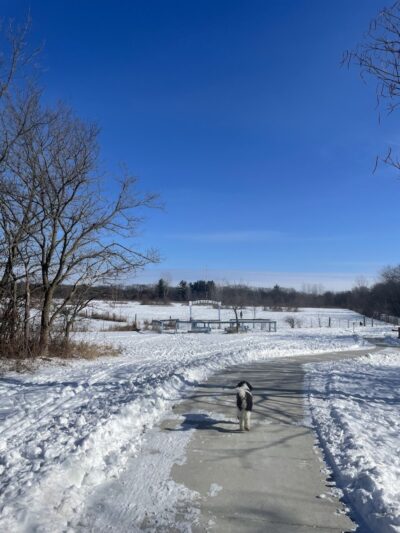 Lemon Lake County Park - Crown Point, IN