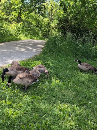 Lemon Lake County Park - Crown Point, IN