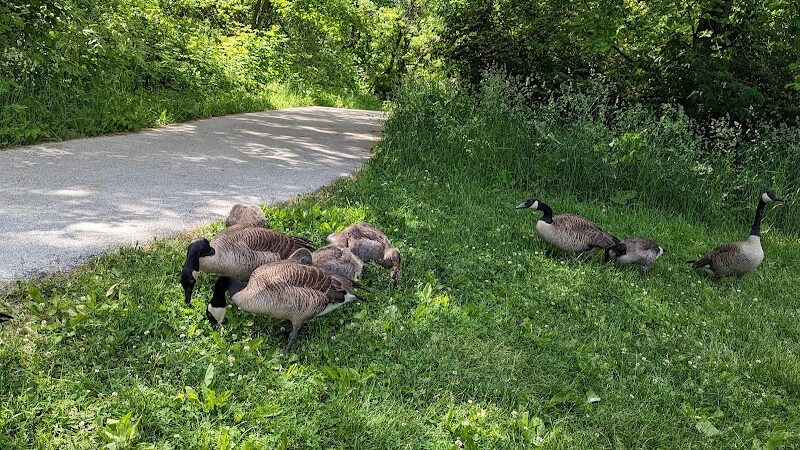 Lemon Lake County Park - Crown Point, IN
