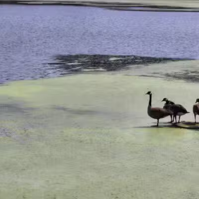 Lemon Lake County Park - Crown Point, IN