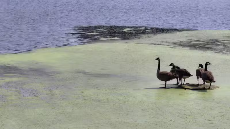 Lemon Lake County Park - Crown Point, IN