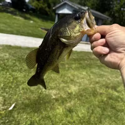 Lemon Lake County Park - Crown Point, IN