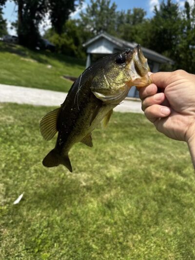 Lemon Lake County Park - Crown Point, IN