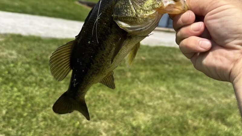 Lemon Lake County Park - Crown Point, IN