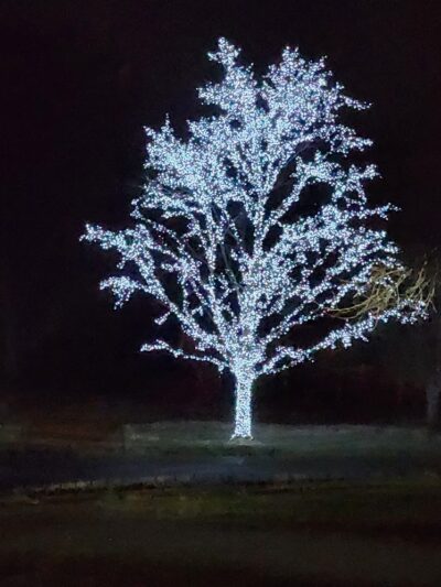 Crystal City North Park - Crystal City, MO