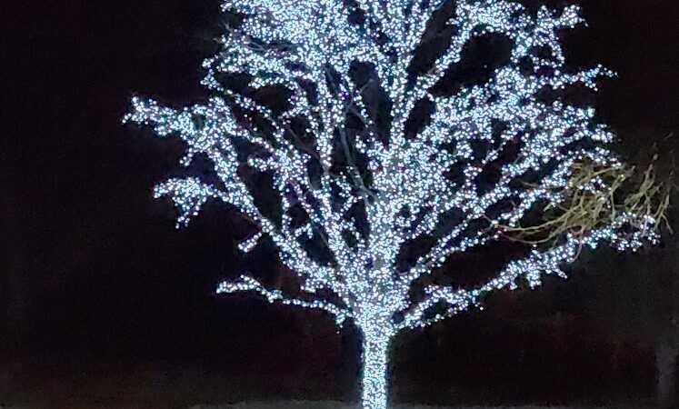 Crystal City North Park - Crystal City, MO