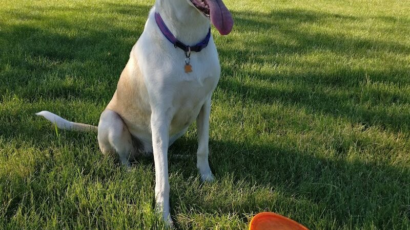 Hound Town Dog Park - Crystal Lake, IL