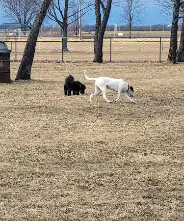 Hound Town Dog Park - Crystal Lake, IL