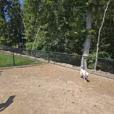 Dog Park - Cumberland, RI